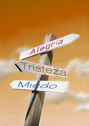 Imagen de Gary S Chapman