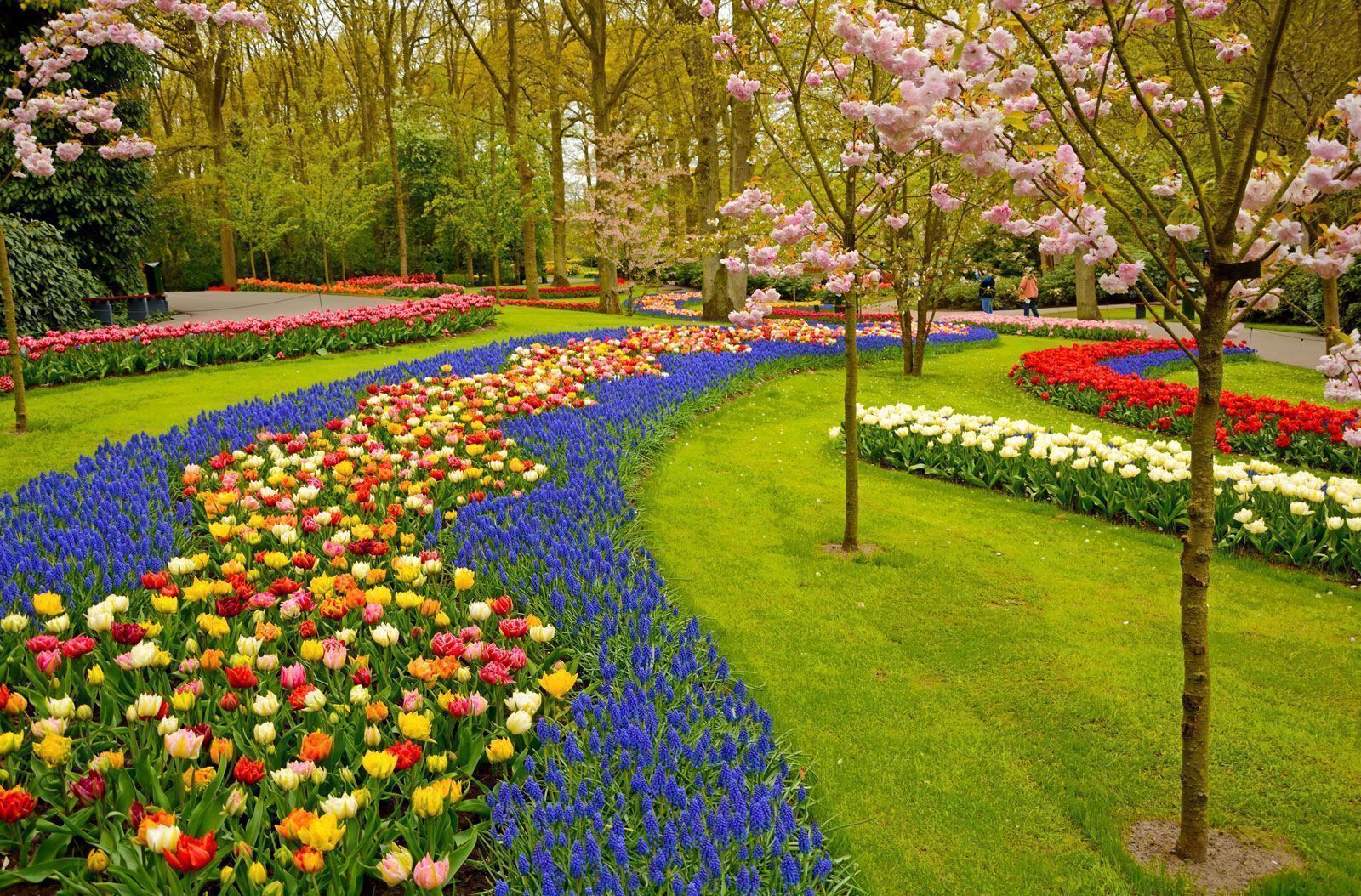 Jardínes de Keukenhof - Países Bajos