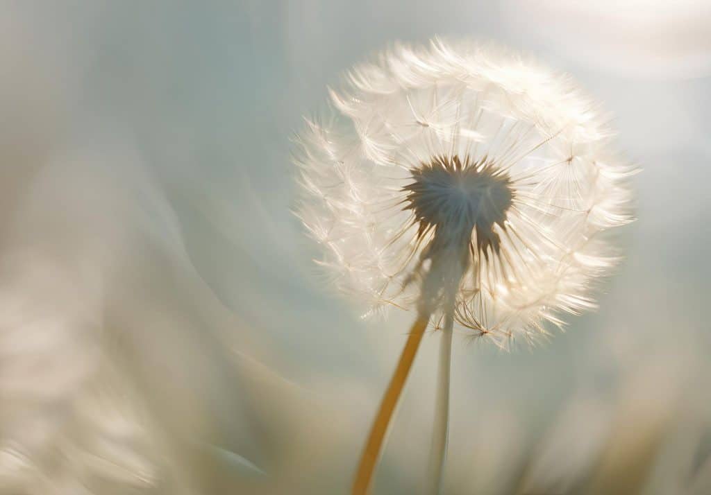 personas altamente sensibles