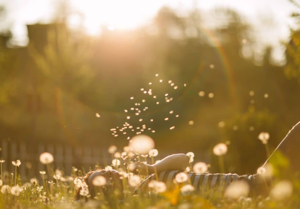 personas altamente sensibles